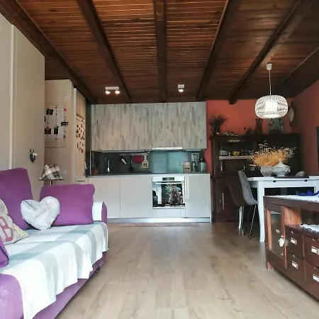 Con Jardin Privado Y Acogedor Puig Falco 2